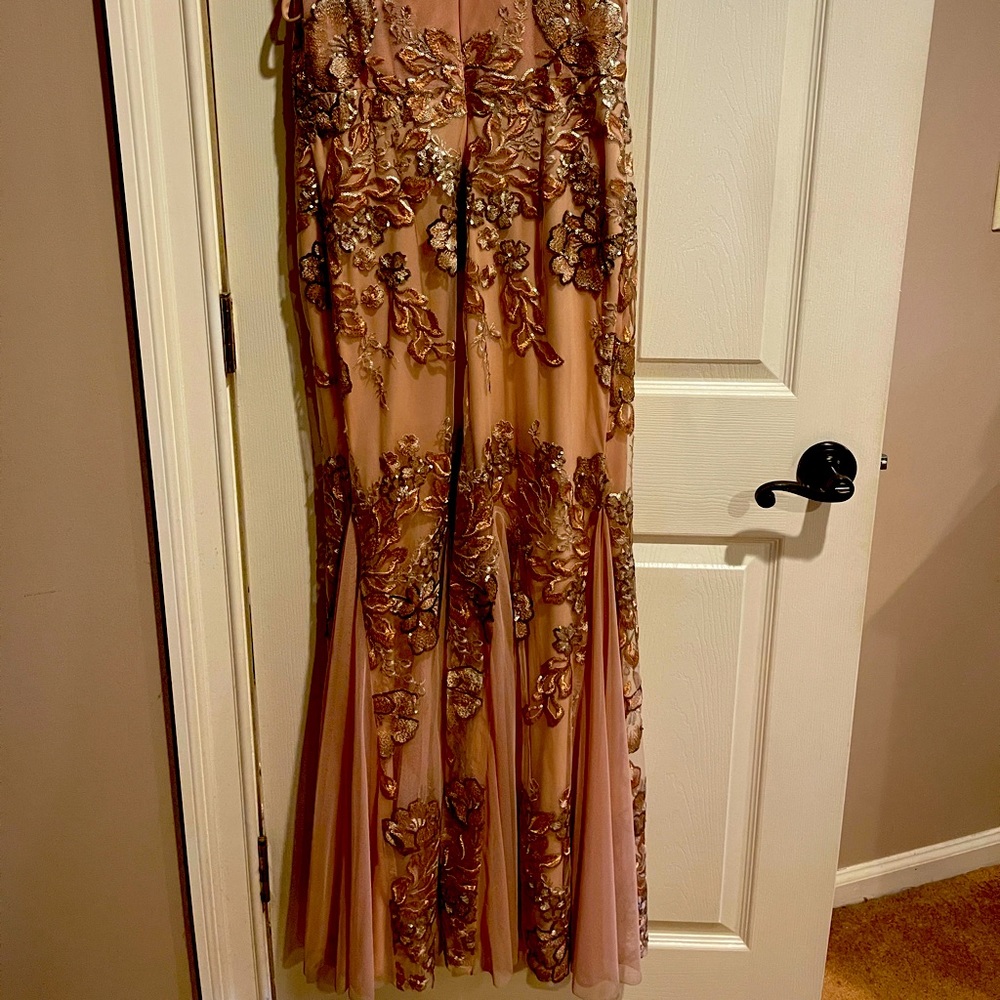 Long Gown worn once